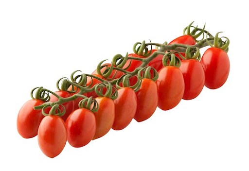 עגבנית שרי לובלו